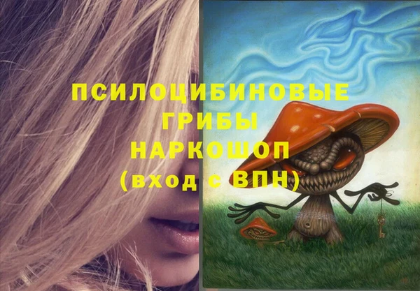 PSILOCYBIN Остров