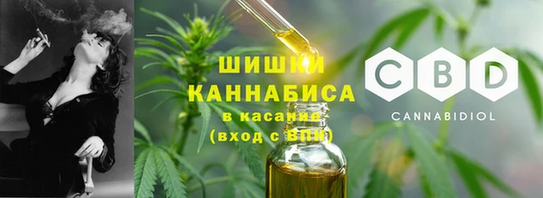 молекула духа Осташков