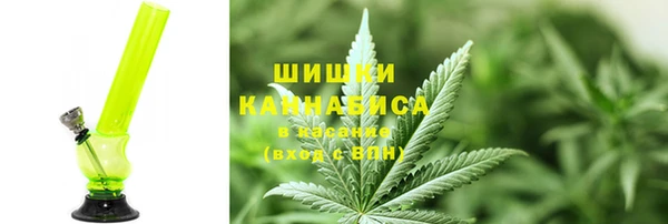 молекула духа Осташков