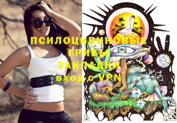 jwh Осинники