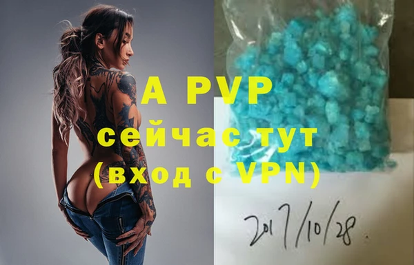 PSILOCYBIN Остров